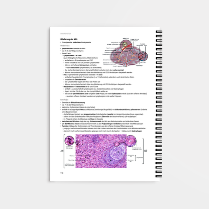 Histologie 1