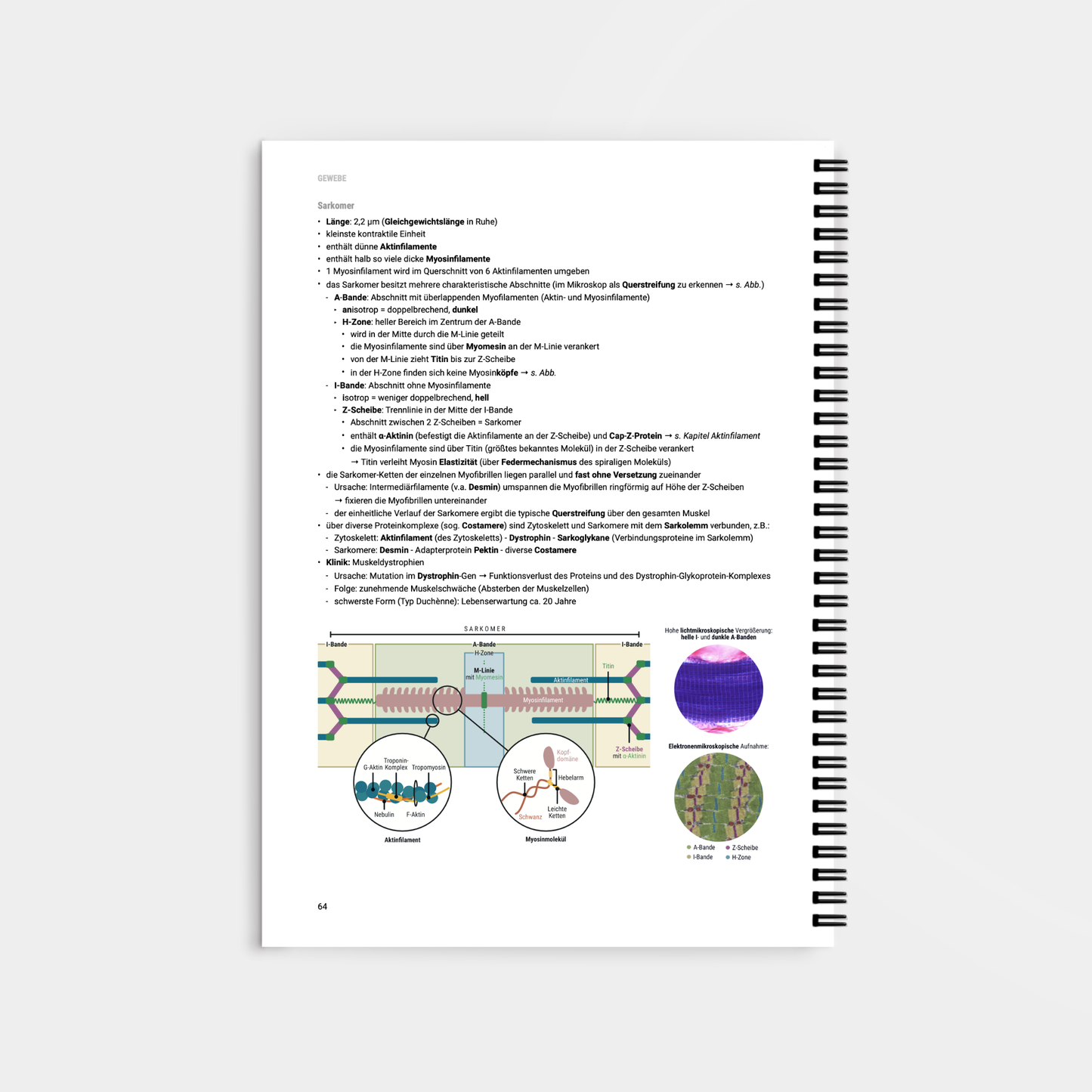 Histologie 1