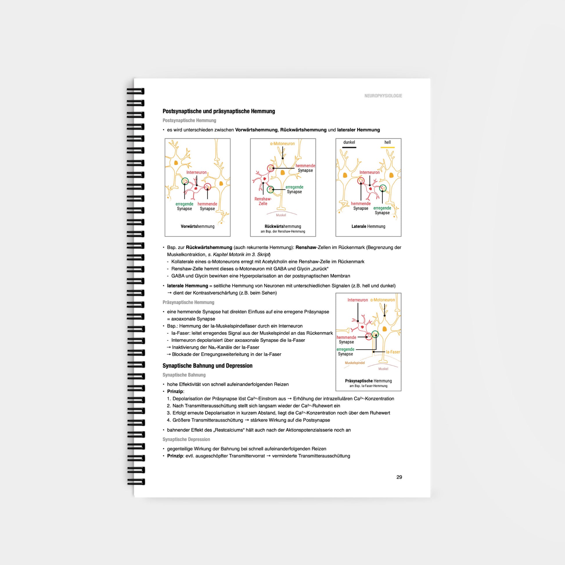 Physiologie 1 - CORETEXT