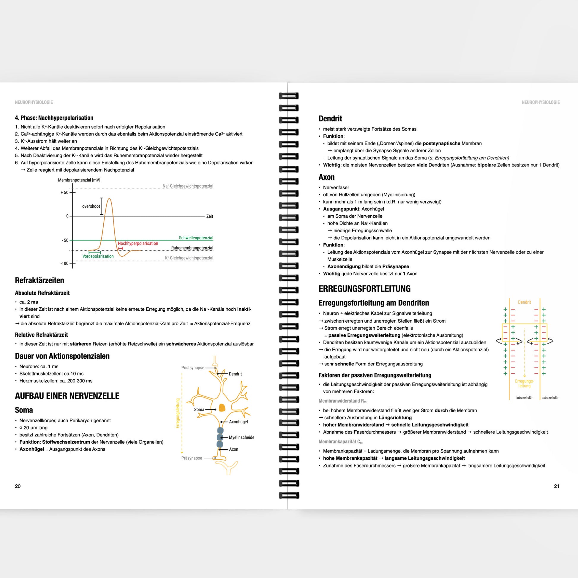 Physiologie 1 - CORETEXT